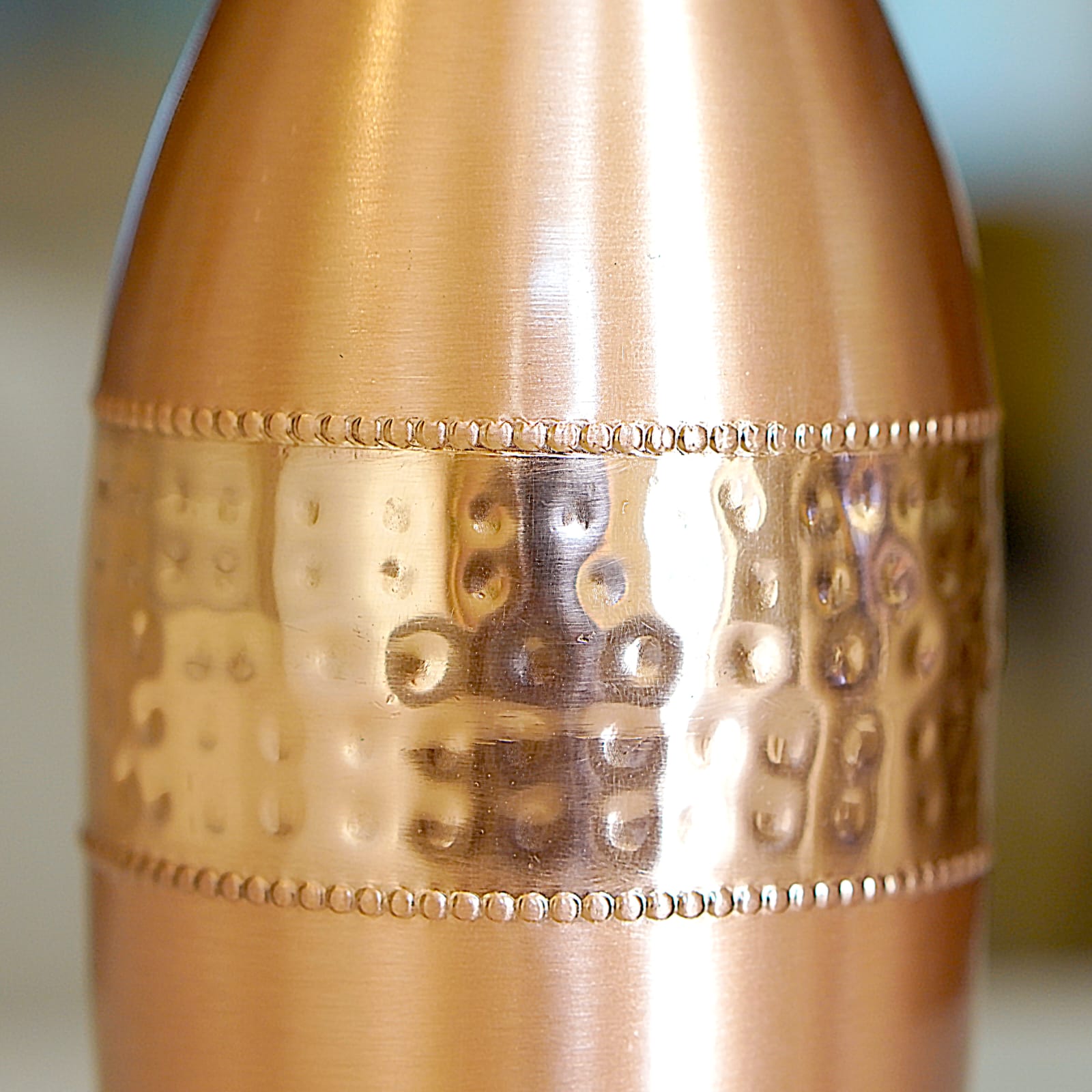 Copper Dolphin Water Bottle
