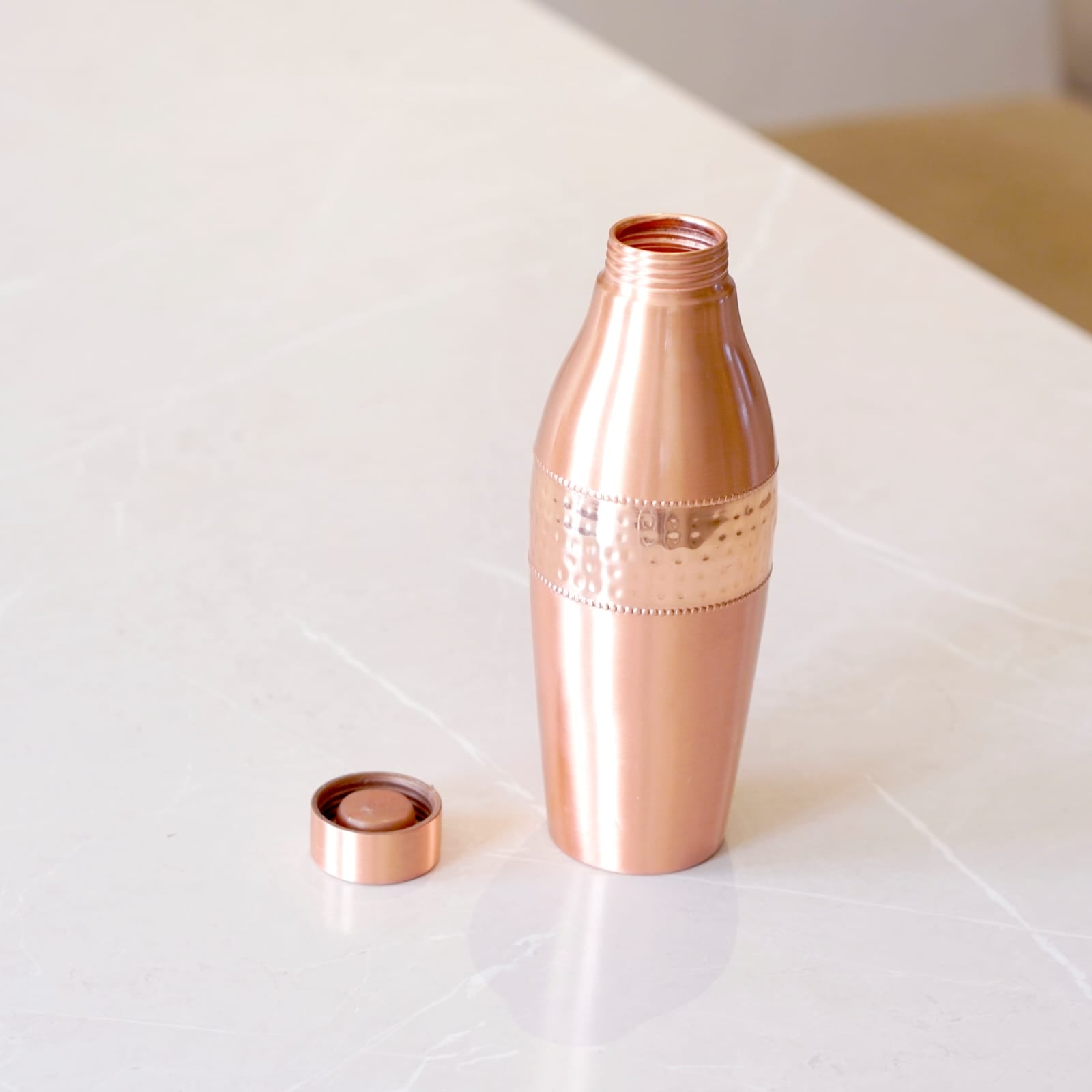 Copper Dolphin Water Bottle