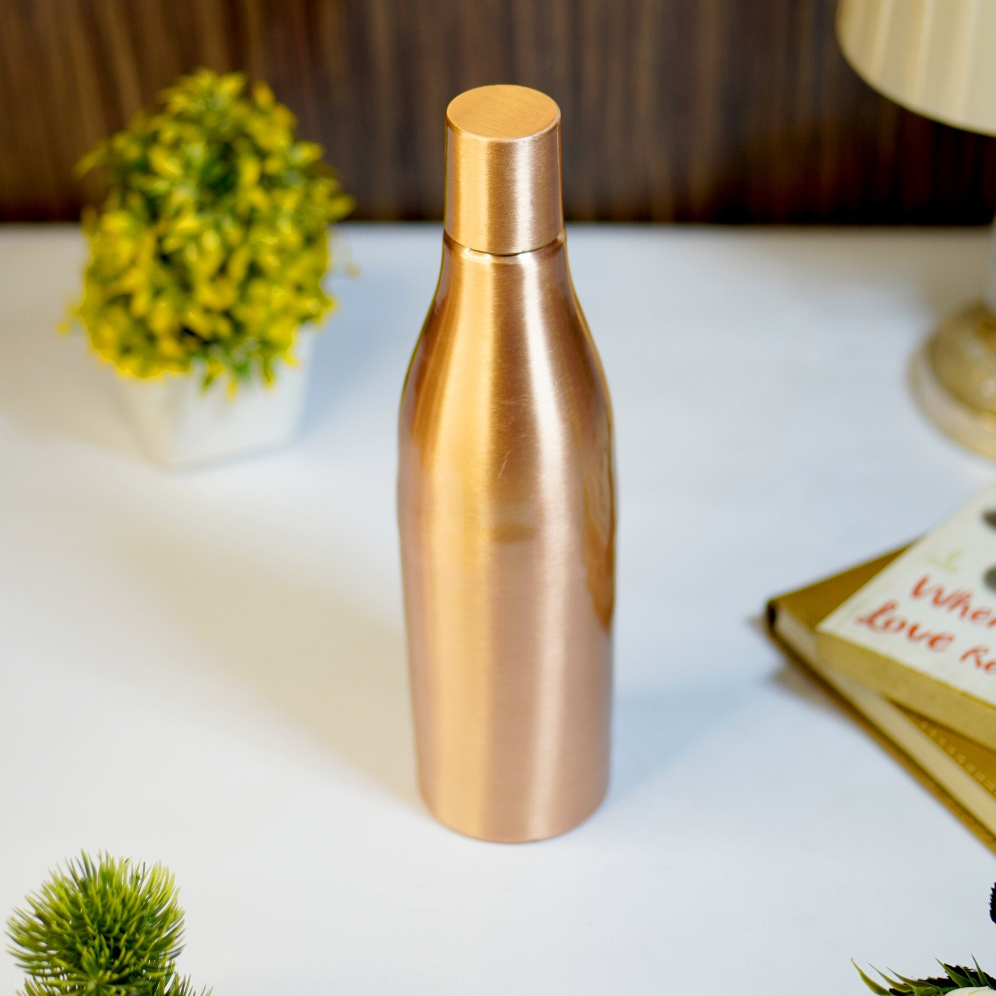 Copper water bottle - Brass Globe - 