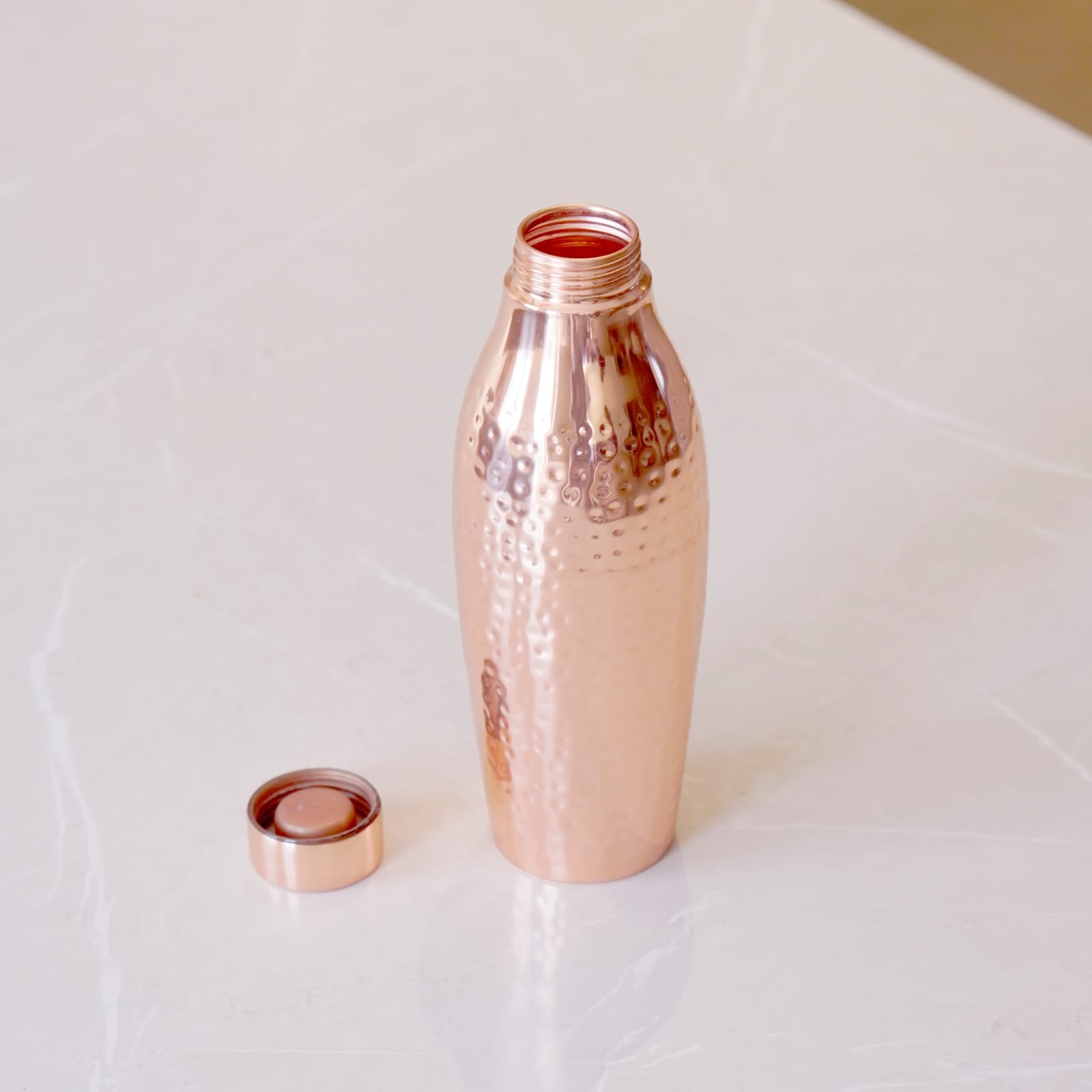 Copper Dolphin Water Bottle