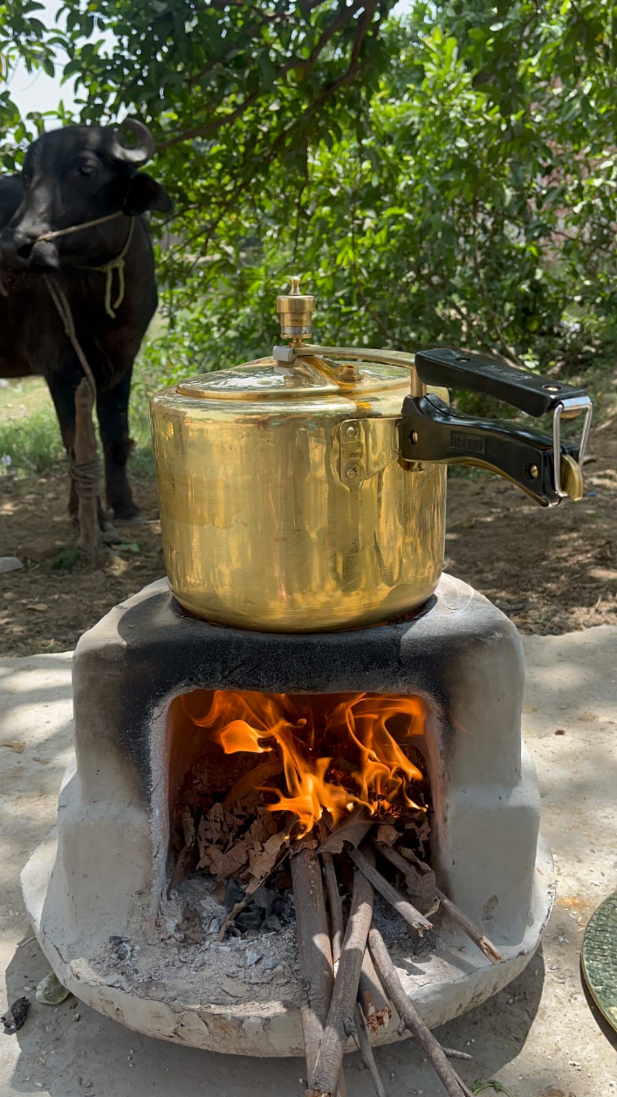 Brass Cooker with tincoated - Brass Globe -