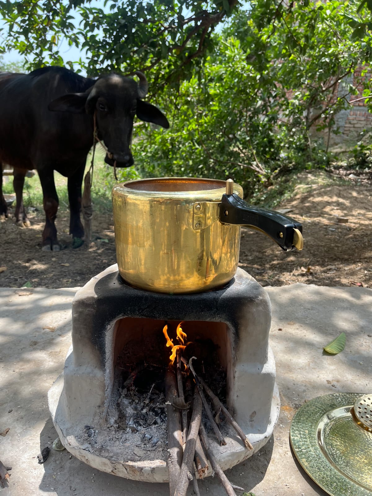 Brass Cooker with tincoated - Brass Globe -