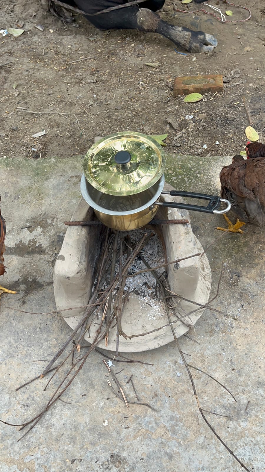 Brass frypan with tincoated - Brass Globe -