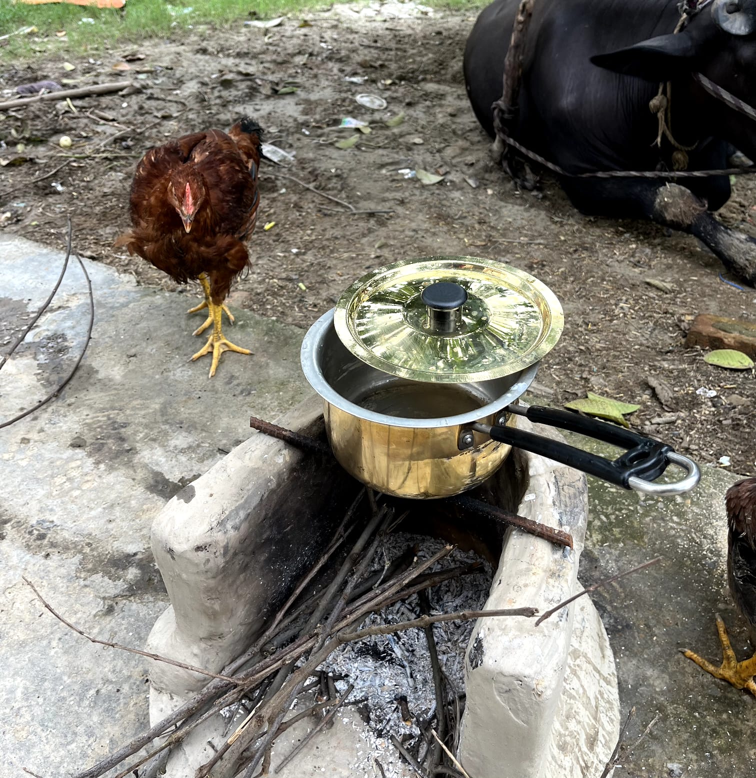 Brass frypan with tincoated - Brass Globe -