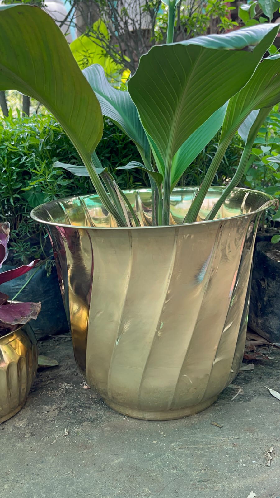 Brass planters / plant pots - Brass Globe -